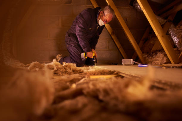 Best Residential Insulation in Pearisburg, VA