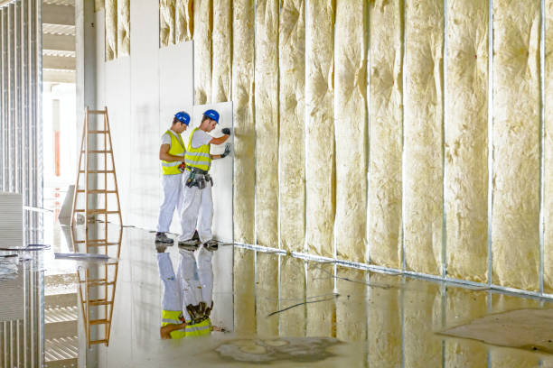 Best Specialty Insulation in Pearisburg, VA
